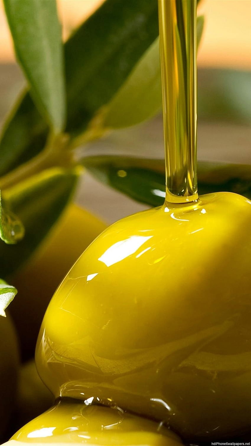 MX25 Oil Adorable for . 44+, Olive Oil HD phone wallpaper
