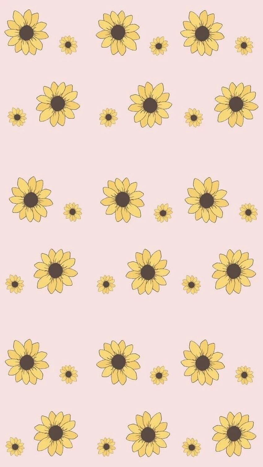 Sunflower Wallpaper Download  MobCup