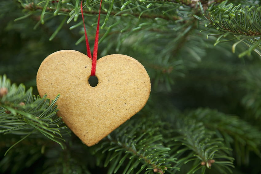 ๑๑ Season Heart ๑๑ ฤดูหนาว วันหยุด ริบบิ้น ตกแต่งต้นคริสต์มาส ขนมปังขิง ความเชื่อ พิเศษ ฤดู ความรัก รายละเอียด คริสต์มาส สีแดง หัวใจ ตลอดไป วอลล์เปเปอร์ HD