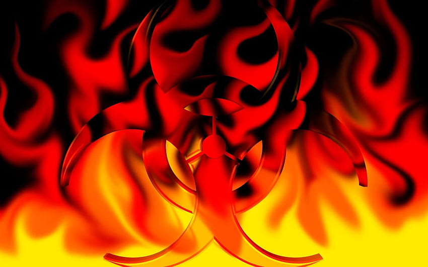 Awesome Fire, Flaming Fox HD wallpaper