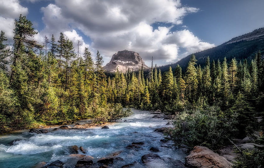 Forest, Canada, river, sky, trees, nature, water, mountains, clouds