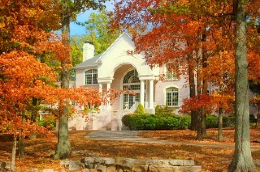 Herbst auf dem Land, bunt, Haus, Herbst, friedlich, schön, Gelassenheit, Baum, Jahreszeit, Blätter, Herbst, Landschaft, Laub HD-Hintergrundbild