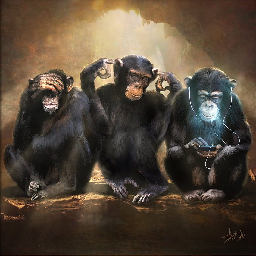 weise Affen. Drei weise Affen, Affenkunst, Weise Affen, 3 Wise Swag HD-Handy-Hintergrundbild
