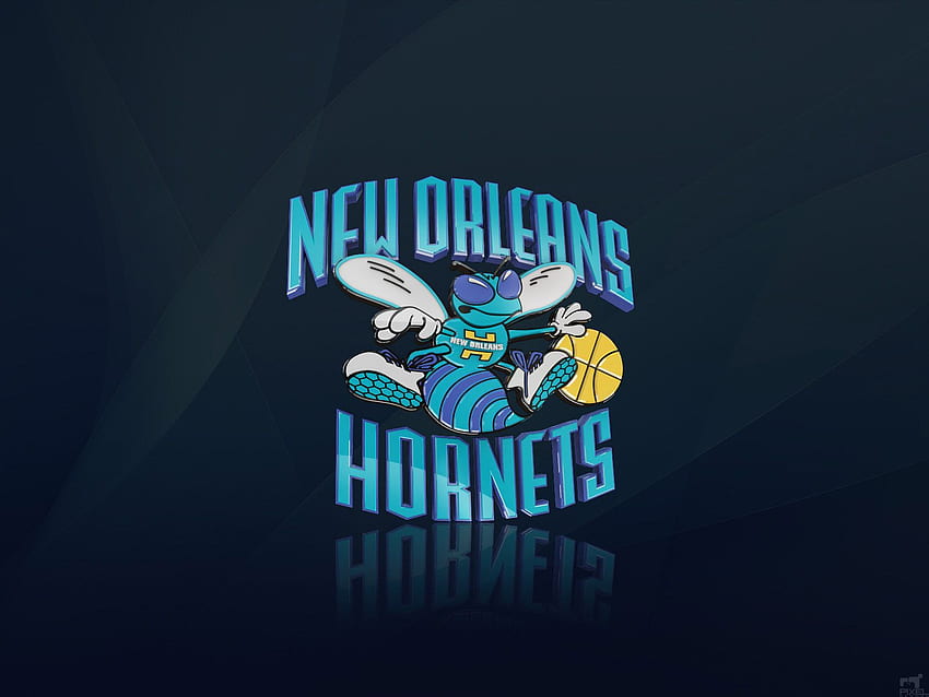 Plano de fundo do logotipo da NBA, logotipo do New Orleans Pelicans papel de parede HD