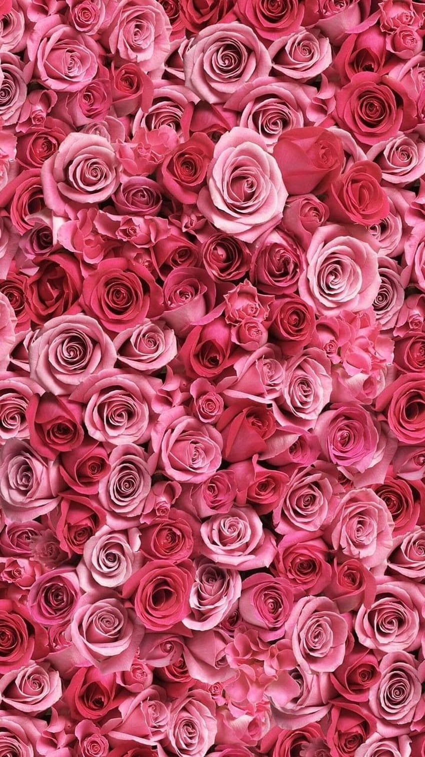 Uploaded by Martina Sdrogo. Find and videos about pink, flowers and red - the app t. Pink wall art, Art collage wall, Flower phone HD phone wallpaper