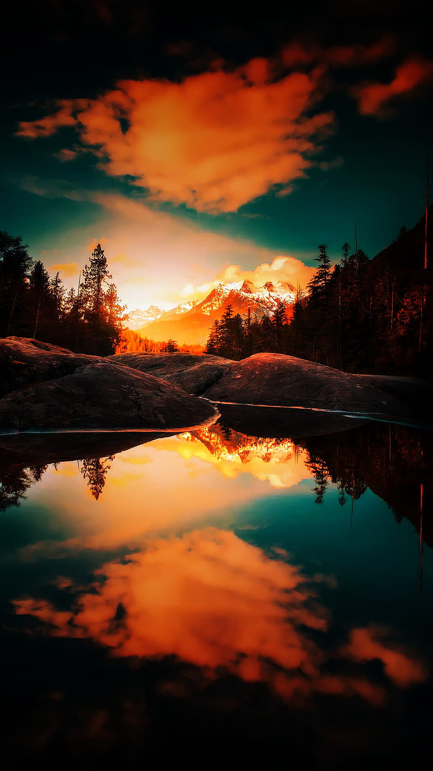 Evening Star, forest, mountain, nature, sun, water, morning HD phone wallpaper