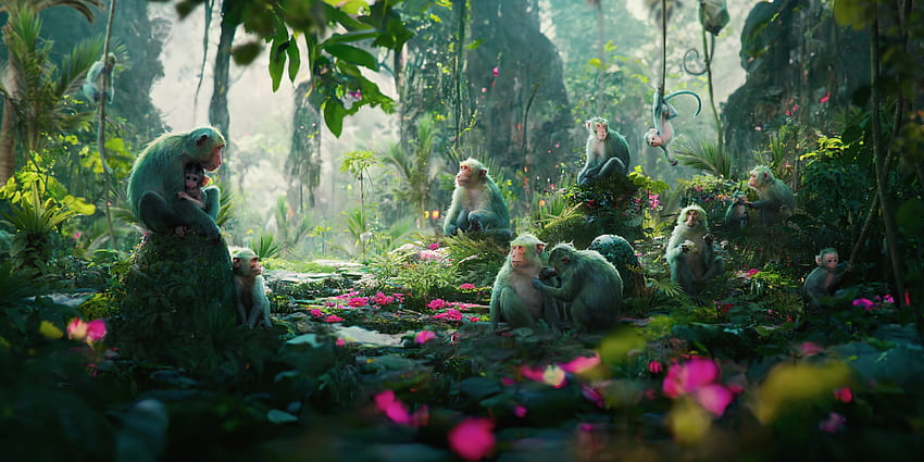 macacos, verde, maimuta, alex pi, selva, arte, alexpi, verão, rosa, fantasia, mnkey, vara papel de parede HD