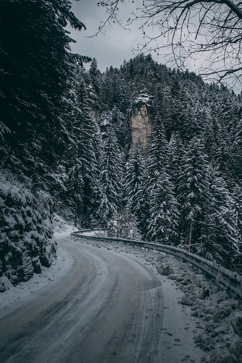 Winter Nature Snow Mountain Road Turn Branches Hd Phone Wallpaper Pxfuel