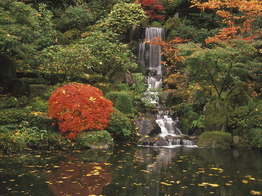 폭포: 정원 폭포 연못 꽃 관목 나무 폭포, 일본 폭포 HD 월페이퍼