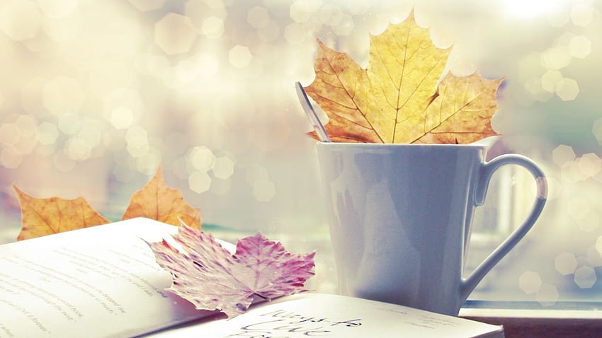 leaf, cup, book, autumn., Autumn Coffee HD wallpaper