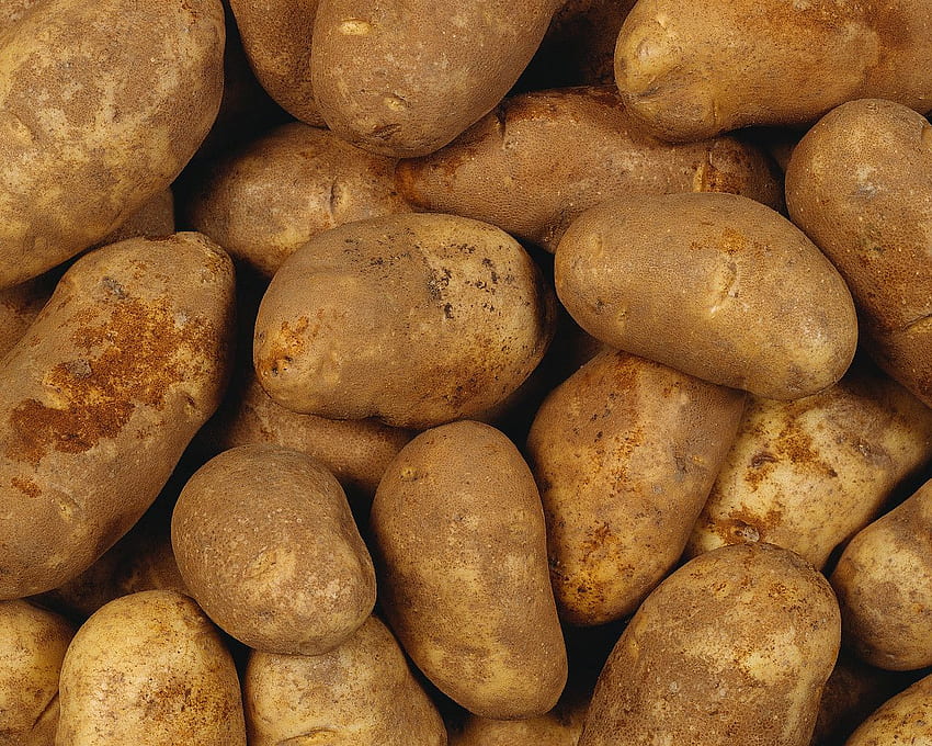 Potato Background. Sweet Potato HD wallpaper