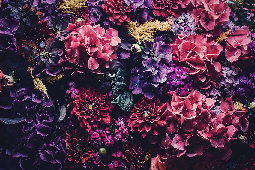 Floral iPhone To Celebrate 6 Pinterest Followers. Preppy, Gold Floral HD  wallpaper | Pxfuel