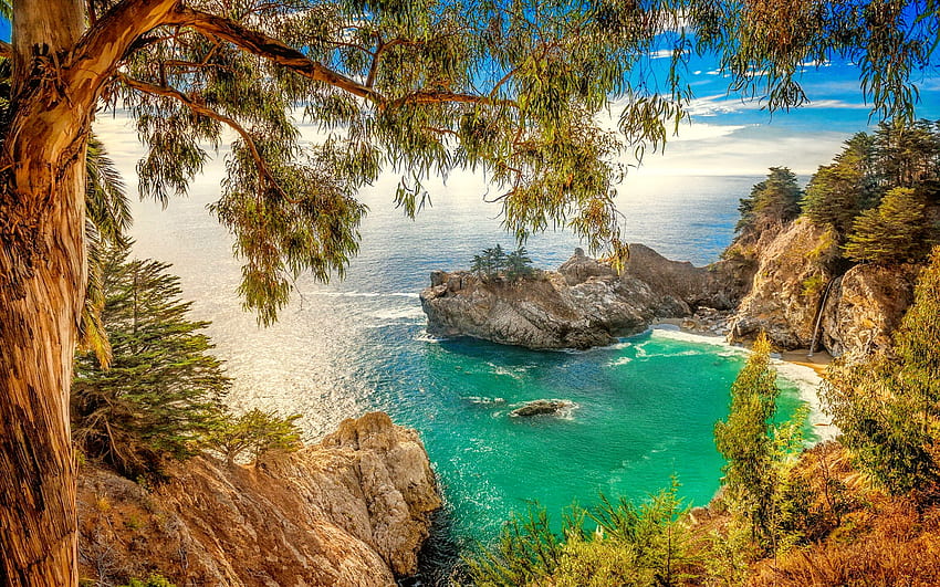 Coastal view, coast, cove, bay, beautiful, rocks, tree, beach, shore, branches, view, California HD wallpaper