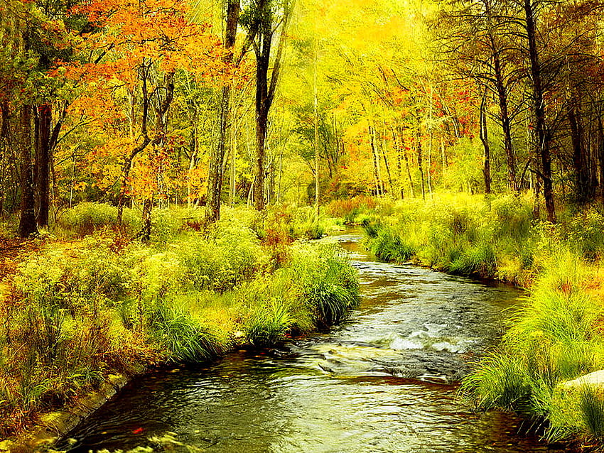 Златна есен, река, златна, рекичка, растения, есен, цветове, листа, жълто, дървета, есен, природа, вода HD тапет
