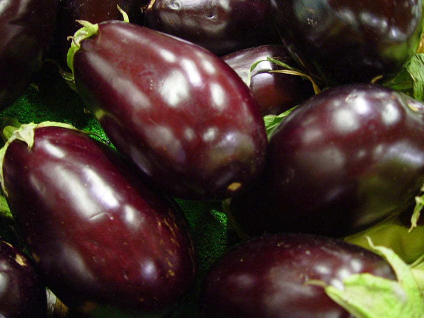 Brinjal and for, Eggplant HD wallpaper