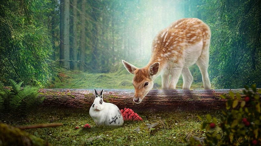 who are you?, white, wood, rabbit, deer HD wallpaper