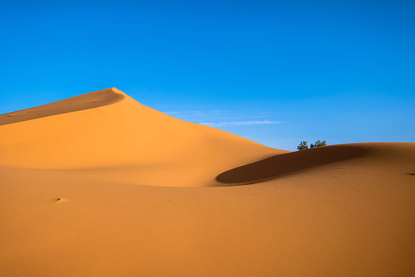 10,Най-добра пустиня · 100% s, Сахара HD тапет
