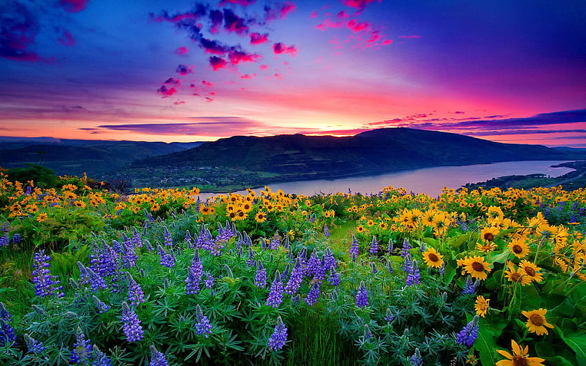 Nature Landscape Yellow Flowers And Blue Mountain Lake Hills Red Cloud Sunset 3840×2400 K HD duvar kağıdı