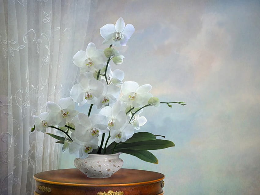 Virtue, table, white, honor, vase, beautiful, purity, curtain, pretty, classy, flowers, leaf, chic, orchids, innocence HD wallpaper