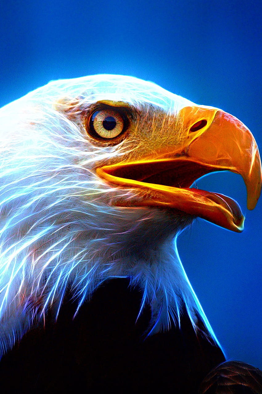 Eagle, Blue Eagle HD phone wallpaper