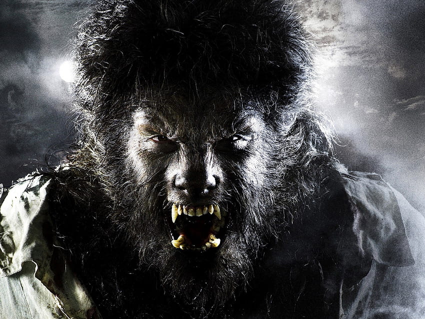Scary Werewolf background [] for your , Mobile & Tablet. Explore Lycan . Werewolves , Werewolf , Classic Werewolf HD wallpaper