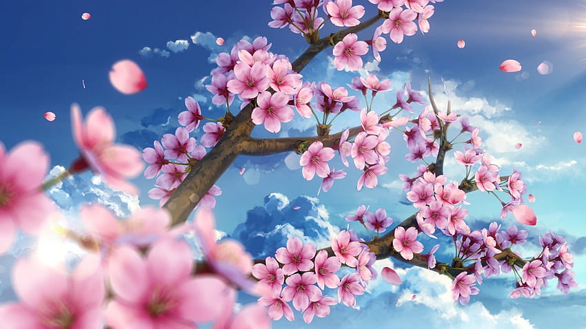 Kirschblüte, Landschaftlich, Blütenblätter, Himmel, Sakura Tree Anime HD-Hintergrundbild