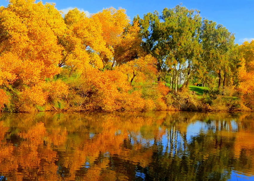 秋の和音、川、ゴールデン、和音、秋、美しい、静けさ、湖、反射、黄色、木、秋、水、葉 高画質の壁紙