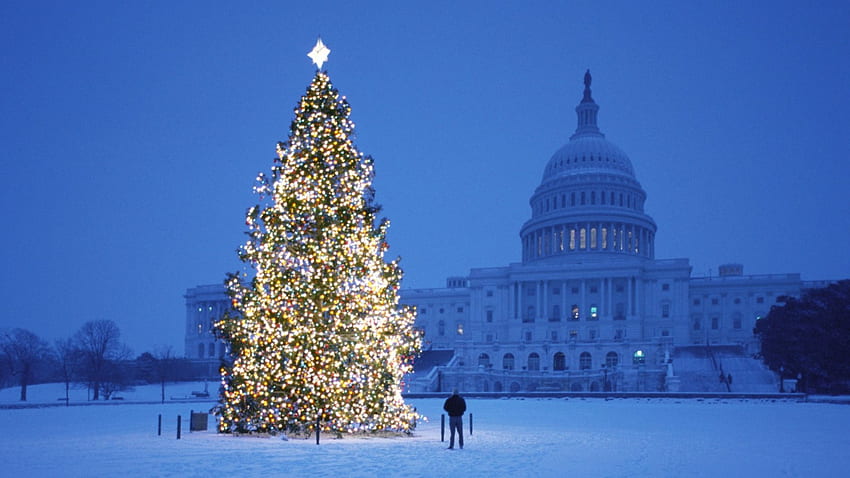 คริสต์มาสที่อาคารศาลากลาง ศาลากลาง ไฟ หิมะ คริสต์มาส ต้นไม้ วอลล์เปเปอร์ HD