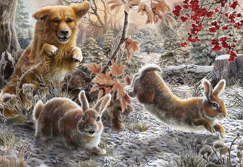 persiguiendo conejos, perro, animal, ilustración, conejo fondo de pantalla