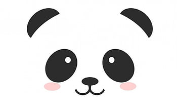 Red panda, white, face, aninal, cute HD wallpaper | Pxfuel