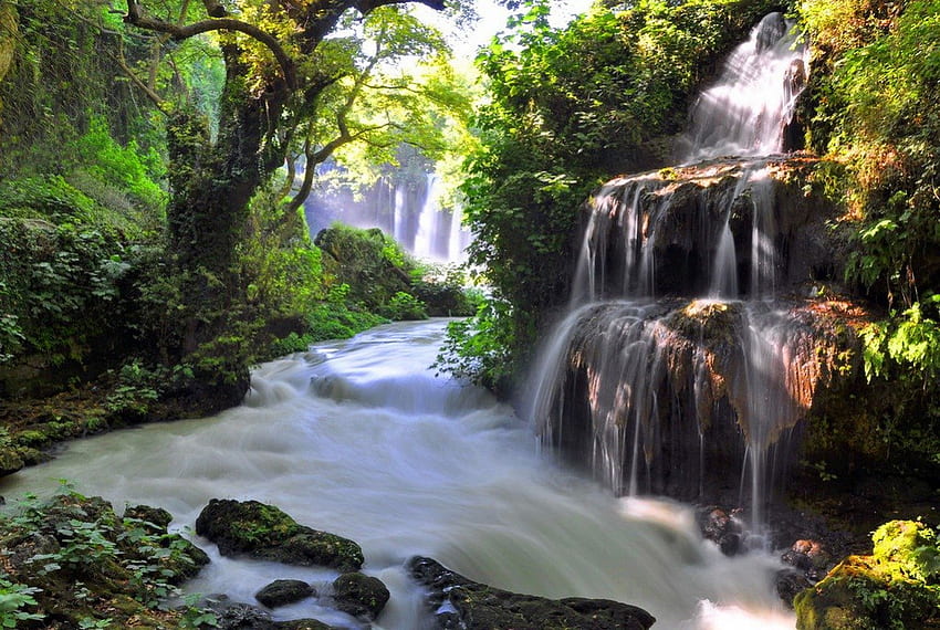 น้ำตก แม่น้ำ ลำห้วย ดี ต้นไม้ เขียวขจี น้ำตก น่ารัก น้ำ ตก สวย หิน ตก สาขา น้ำตก ธรรมชาติ ป่า ลำธาร วอลล์เปเปอร์ HD