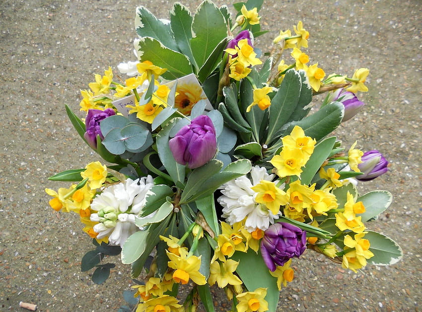 Kwiaty, Liście, Tulipany, Narcyzy, Bukiet, Uwaga Tapeta HD