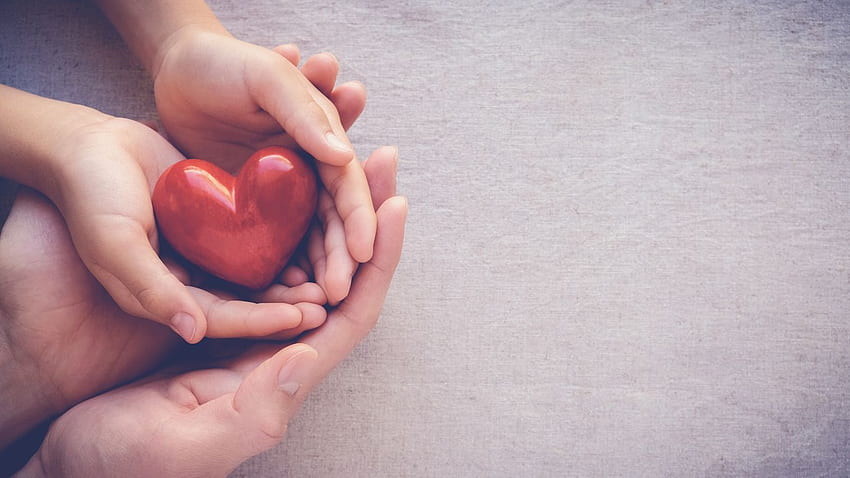 Ingin Menjadi Donor Jaringan? Posting ini untuk Anda – Kamus Rumah Sakit, Donasi Organ Wallpaper HD