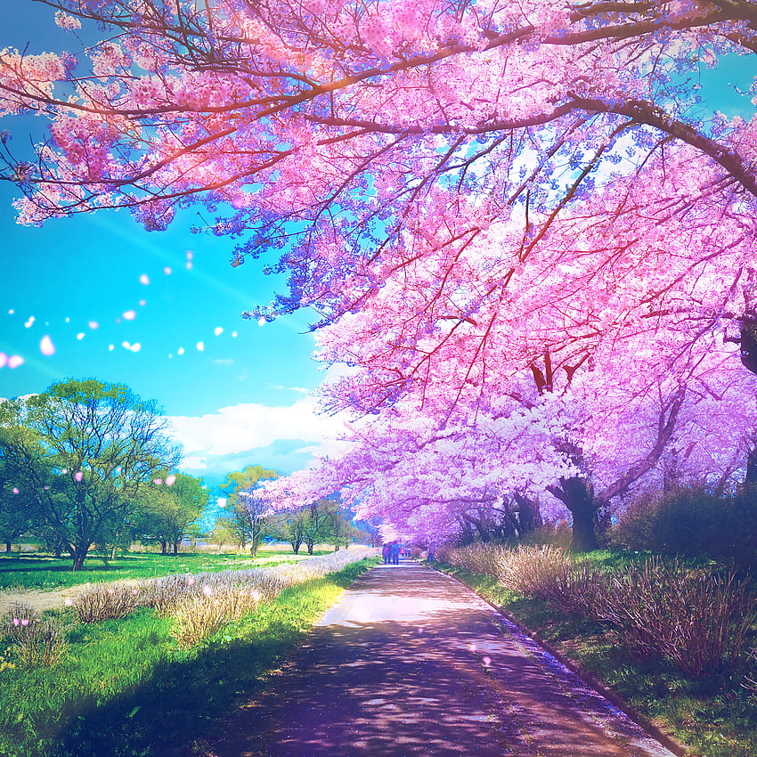 Original, anime, trees, blossom HD phone wallpaper
