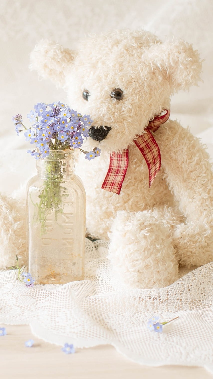 Teddy Bear Ka, White, Beautiful, Teddy Bear HD phone wallpaper