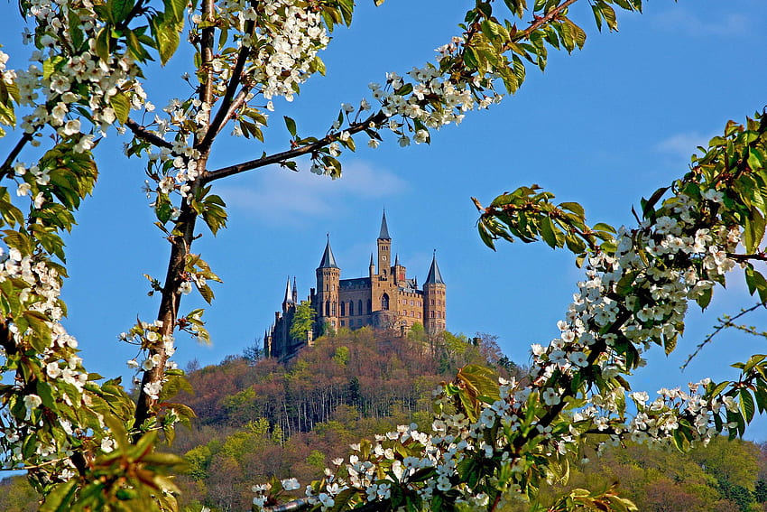 Château Hohenzollern au printemps, paysage, floraison, allemagne, colline, arbre Fond d'écran HD