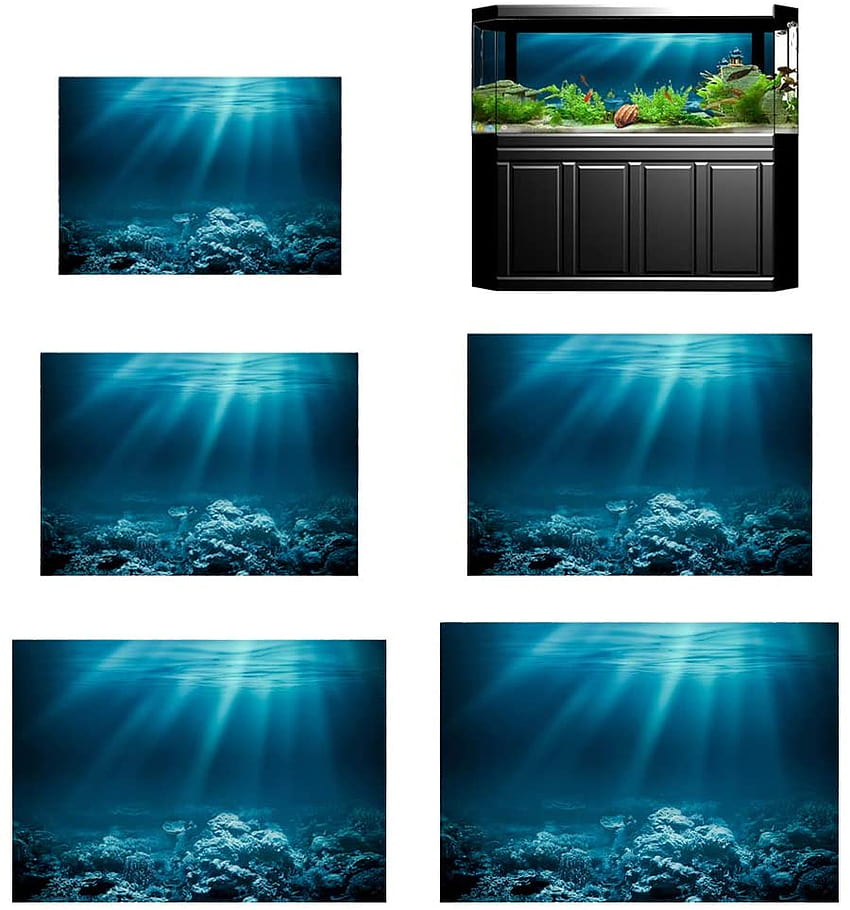 M Undersea World Single Sided Adhesive Aquarium Background Backdrop Fish Tank Reptile Terrarium Vivarium Decor Fish & Aquatic Pets Pet Supplies HD phone wallpaper