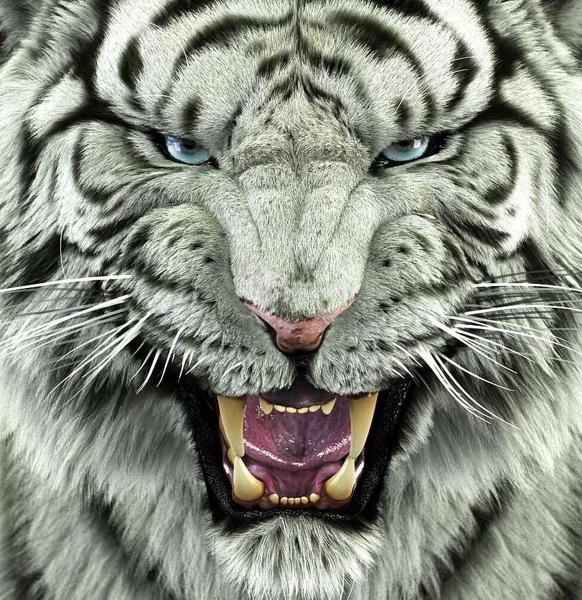 Животни, Хищник, Голяма котка, Тигър, Бенгалски тигър HD тапет за телефон