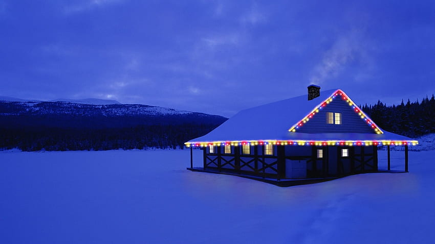 natal di kabin yang sepi, hutan, lampu, natal, kabin Wallpaper HD