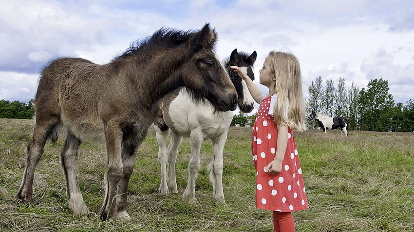 girl, child, pony, walk, grass, Baby Pony HD wallpaper