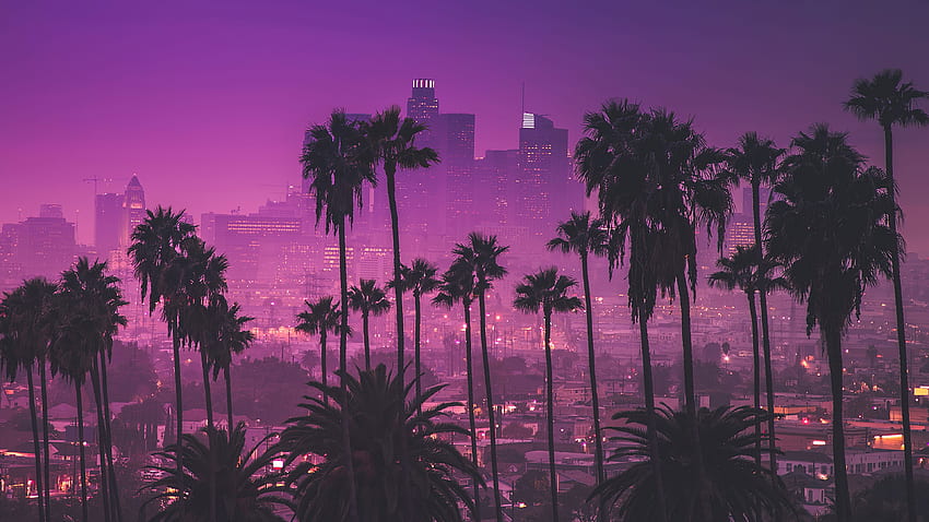 Mor gece ışıklarına karşı palmiye ağaçları - Los Angeles, California Ultra HD duvar kağıdı