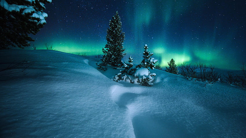 Northern Lights Círculo Polar Ártico Noruega, Antecedentes y Navidad en Noruega fondo de pantalla