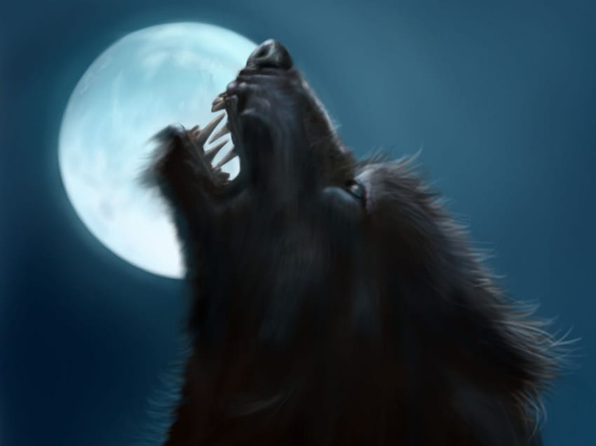 Best Halloween wolf and moon (8 + ), Halloween Werewolf HD wallpaper