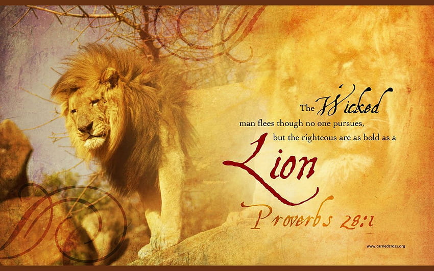 Bible Quotes About Lions Quotesgram - Proverbs 28 1 - & Background, Lion Motivation Bible HD wallpaper