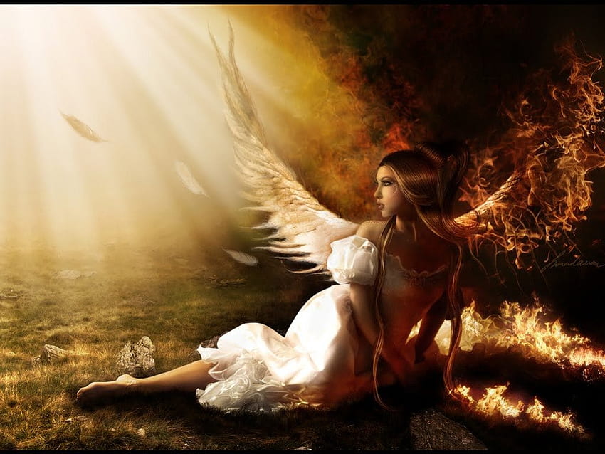 Angel, wings, white, fantasy HD wallpaper | Pxfuel
