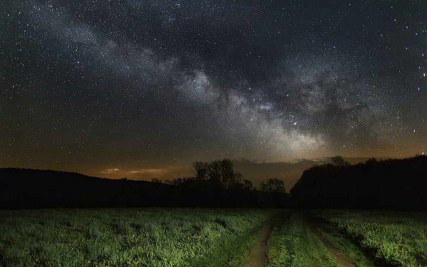 Natur, Gras, Himmel, Sterne, Nacht HD-Hintergrundbild
