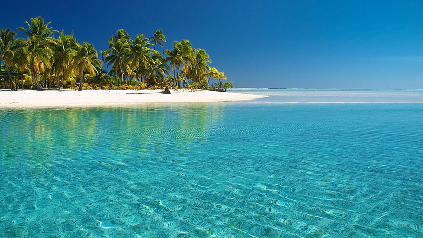 열대 백사장과 맑은 물, 푸른 바다; 백사장; 초록 코코넛 나무 • 당신을 위한, 블루 트로피컬 HD 월페이퍼