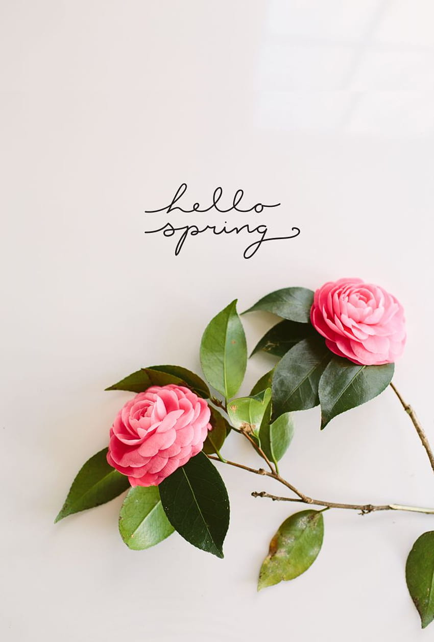 Bouquet primaverile raccolto fai da te, Hello Spring Sfondo del telefono HD