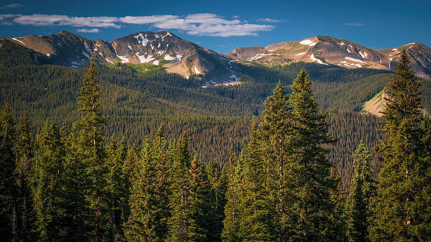 Anthracite Range, Rocky Mountains, Colorado, ciel, Etats-Unis, collines, paysage, arbres, nuages Fond d'écran HD