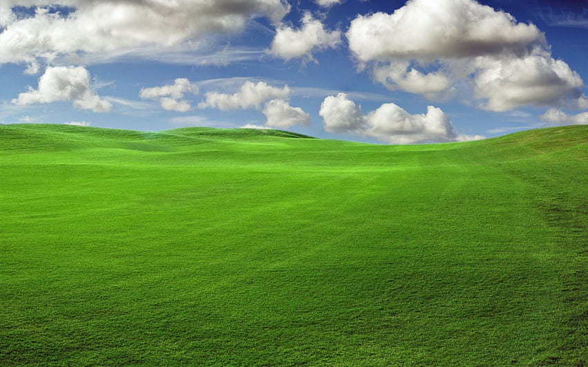 Windows XP Default, Old Windows HD wallpaper